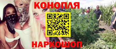 гидропоника Кулебаки