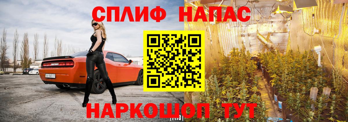 Каннабис сатива  Вход с VPN  Каннабис марихуана  Шишки марихуана конопля  МАРИХУАНА MAZAR  Дербент 